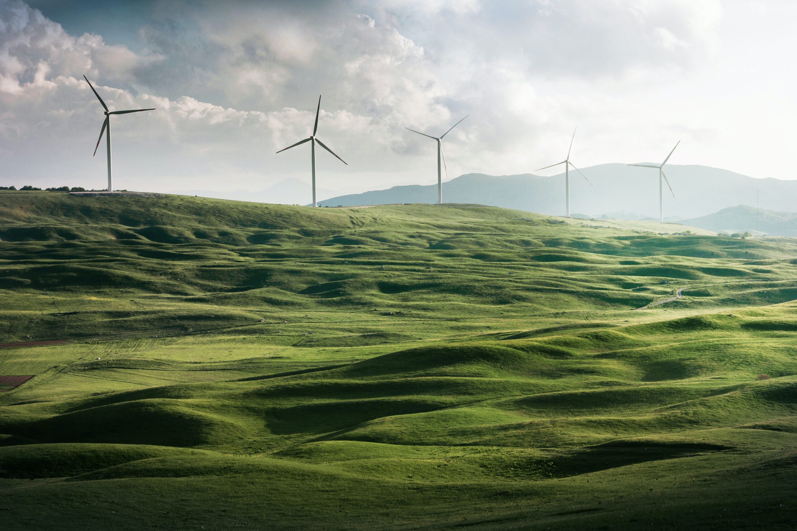 Wind turbines surrounded by lush grass