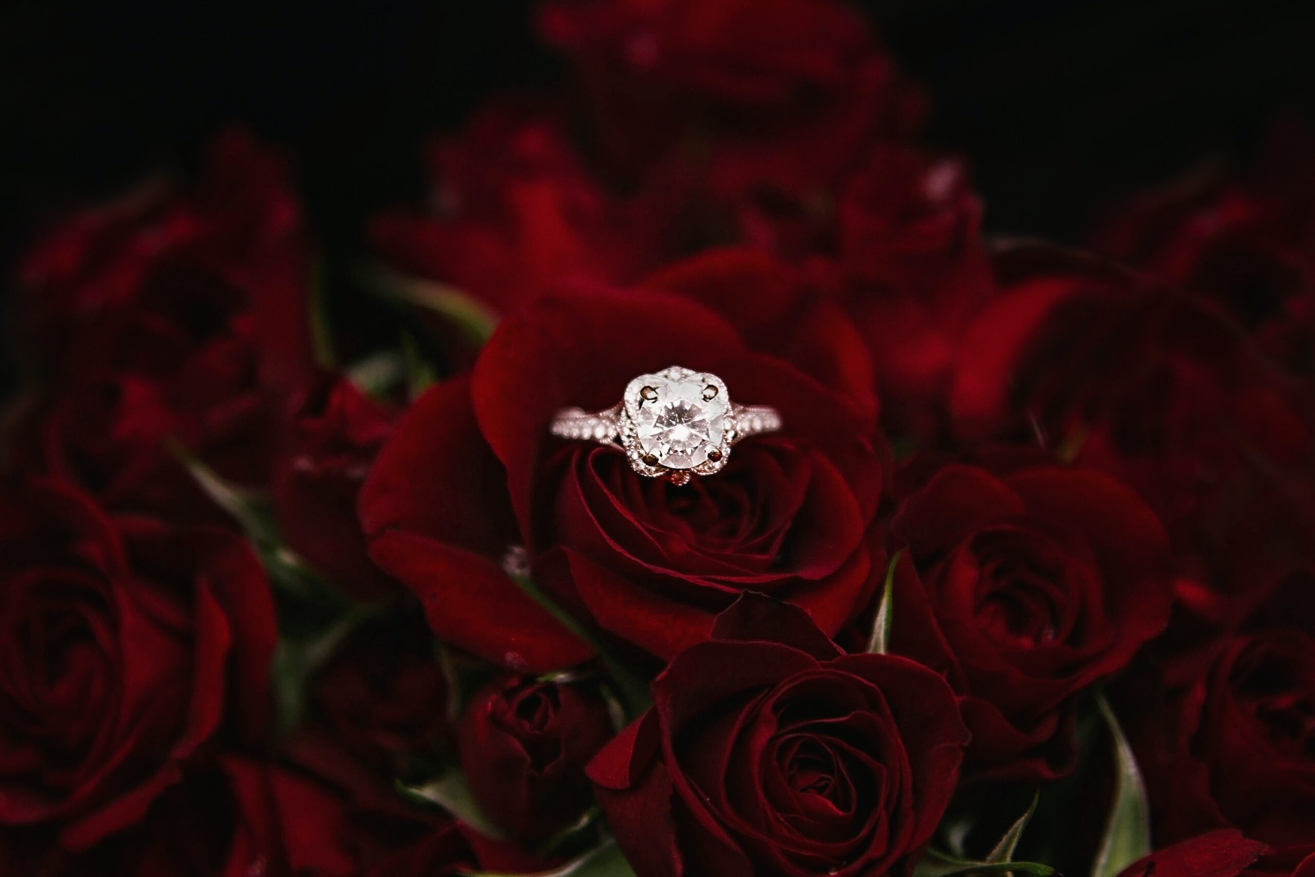 An engagement ring laying in a rose